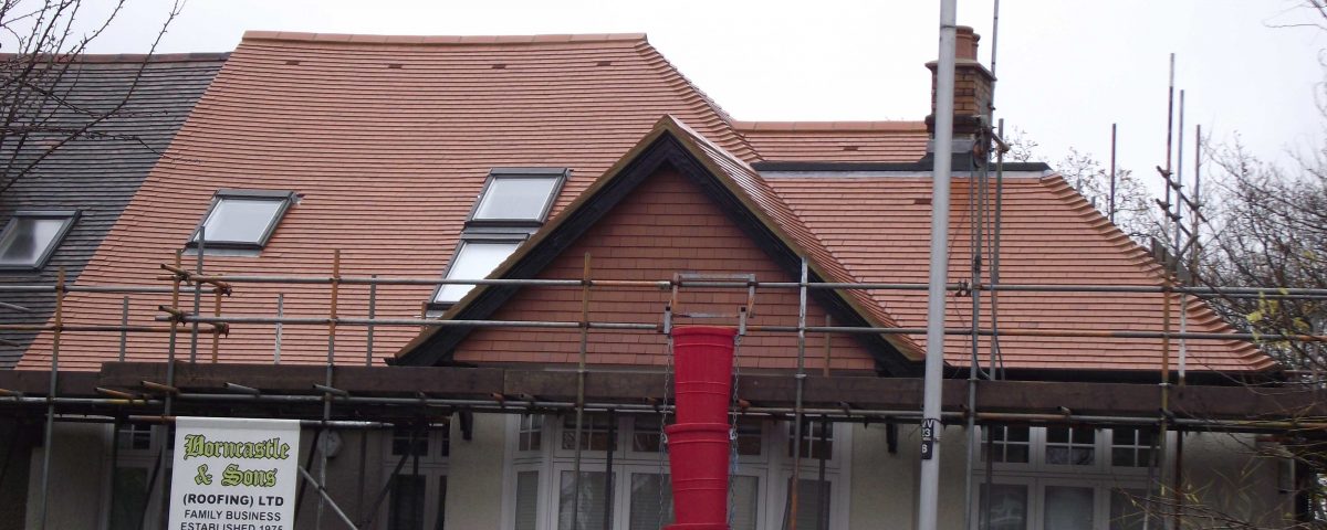 Rosemary Clay Plain tiles